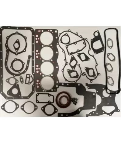 Komplet uszczelek silnika full XINCHAI A495BP