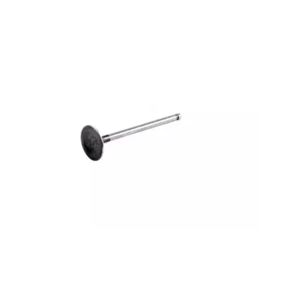 Zawór ssący głowicy NISSAN K15