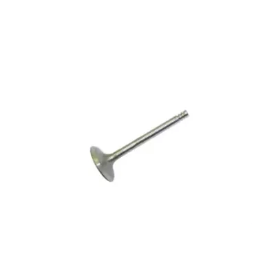 Zawór ssący głowicy silnika VOLKSWAGEN (VW) ADF