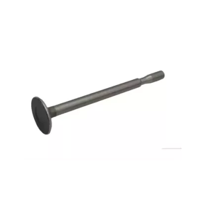 Zawór ssący głowicy silnika MERCEDES OM636