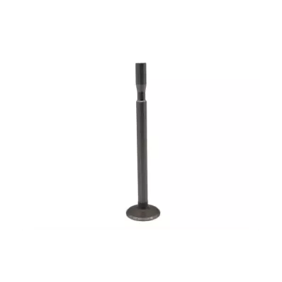 Zawór ssący głowicy silnika THERMO KING silnik: OM636