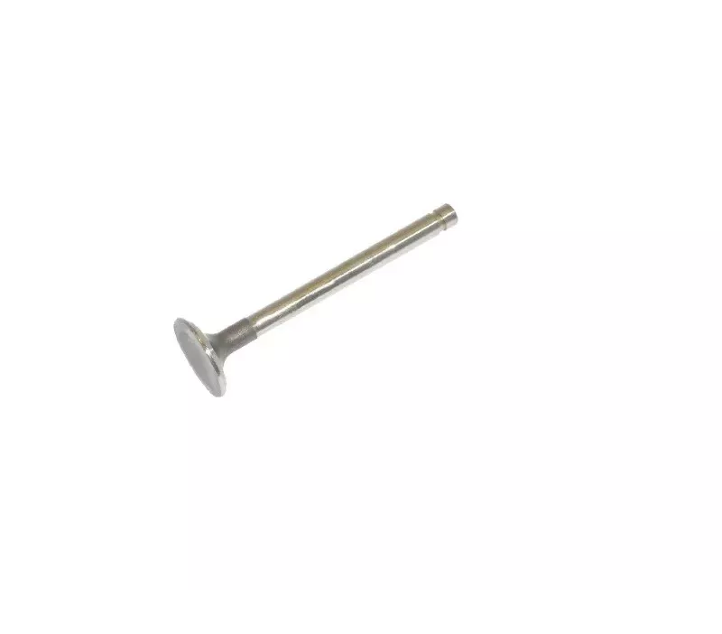 Zawór wydechowy głowicy NISSAN H20 OLD - 0.20