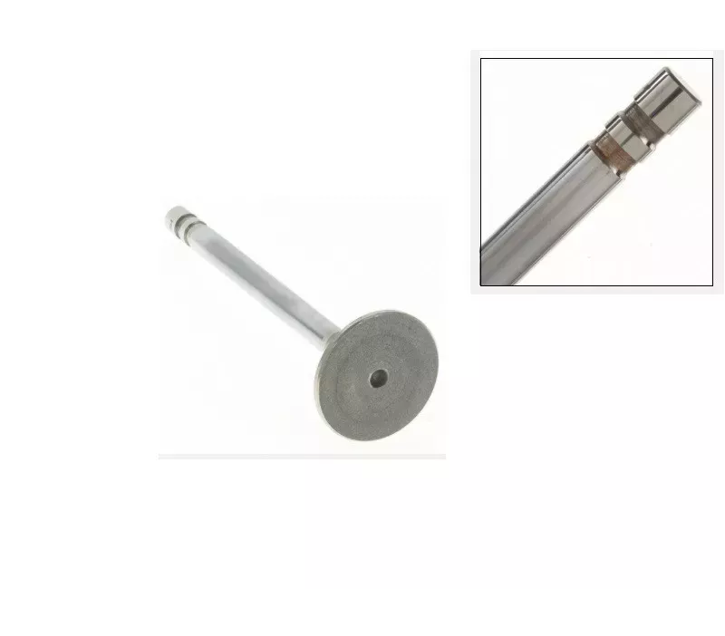 Zawór wydechowy głowicy GM 3.0L - STD