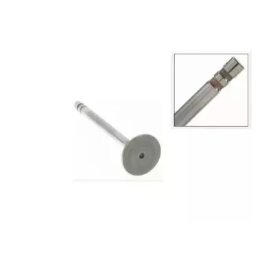 Zawór wydechowy głowicy GM 3.0L - STD