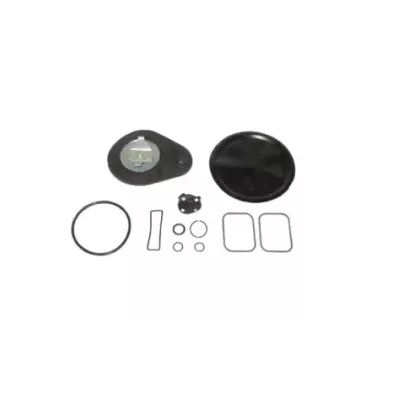 Zestaw naprawczy parownika (LPG) AISAN-NIKKI