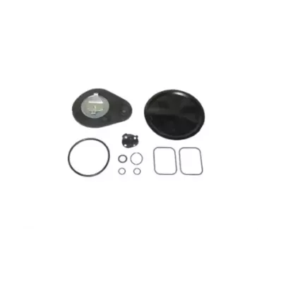 Zestaw naprawczy parownika (LPG) AISAN-NIKKI