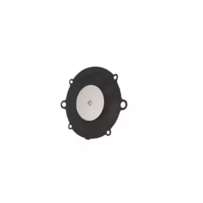 Membrana parownika (LPG) AISAN MODEL S