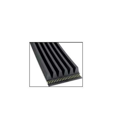 Pasek wielorowkowy 6PK1240