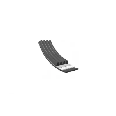 Pasek wielorowkowy 4PK635