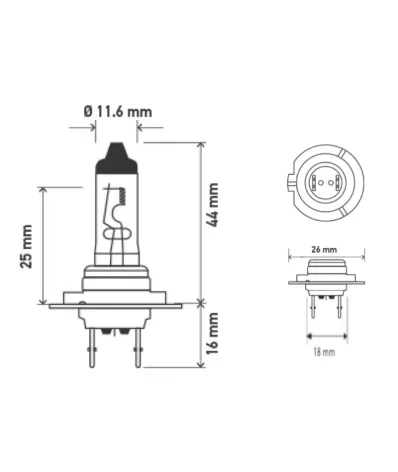 Żarówka (halogenowa) H7 (12V) 55W (PX26D)