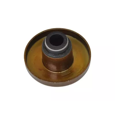 Uszczelniacz zaworu NISSAN H20 OLD