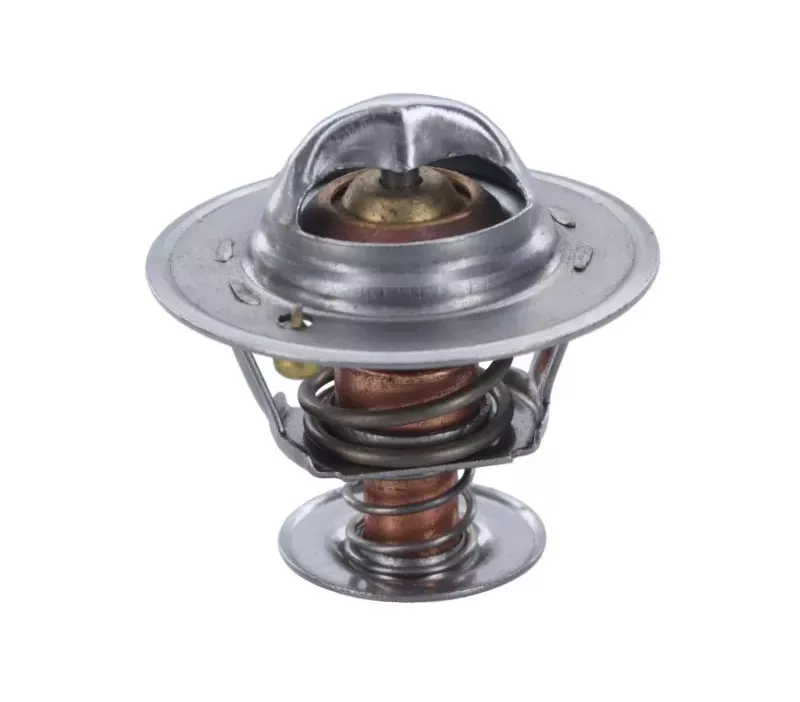 Termostat silnika GM 4.3L V6