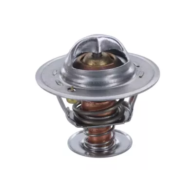 Termostat silnika GM 4.3L V6