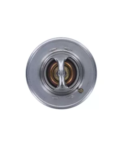 Termostat silnika GM 4.3L V6