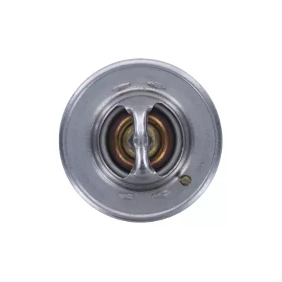 Termostat silnika TOYOTA 1DZ