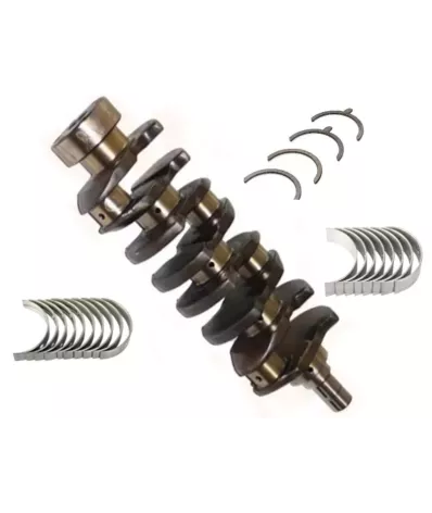 Wał korbowy TOYOTA 1DZIII - Z PANEWKAMI - wózek widłowy