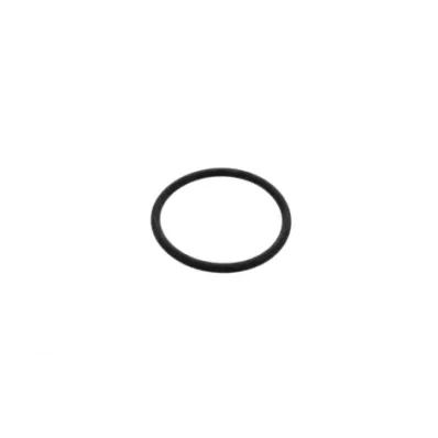 Uszczelka termostatu silnika VOLKSWAGEN (VW) ADF