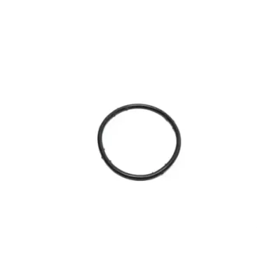 Uszczelka (oring) króćca wodnego VOLKSWAGEN (VW) ADF