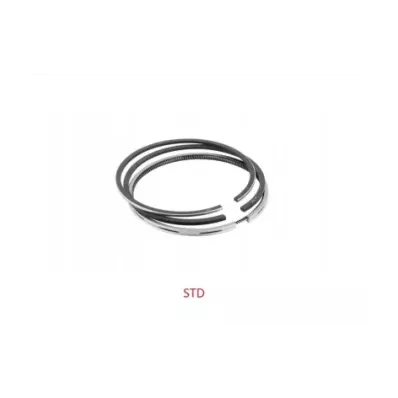 Pierścienie tłokowe TOYOTA 1DZ - STD