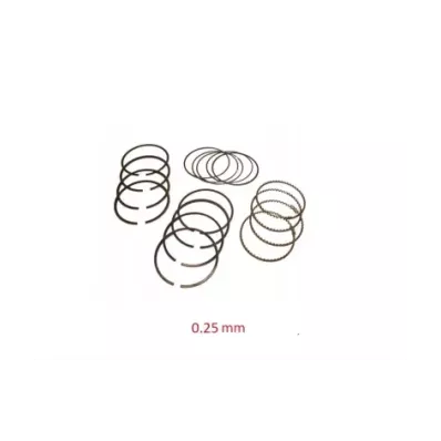 Pierścienie tłokowe MAZDA FE - 0.25