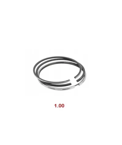 Pierścienie tłokowe PERKINS 104.22 - 1.00 -TYPA