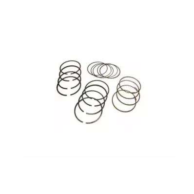 Pierścienie tłokowe HYUNDAI G424F - STD