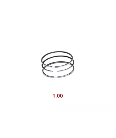 Pierścienie tłokowe VOLKSWAGEN BXT - 1.00