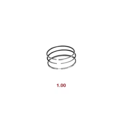 Pierścienie tłokowe VOLKSWAGEN BXT - 1.00
