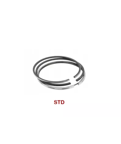 Pierścienie tłokowe DEUTZ BF6M1012E - STD