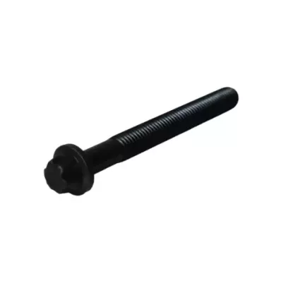 Śruby (śruba) głowicy LOMBARDINI SILEO 1000 (TORX)