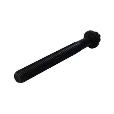 Śruby (śruba) głowicy LOMBARDINI SILEO 1000 (TORX)