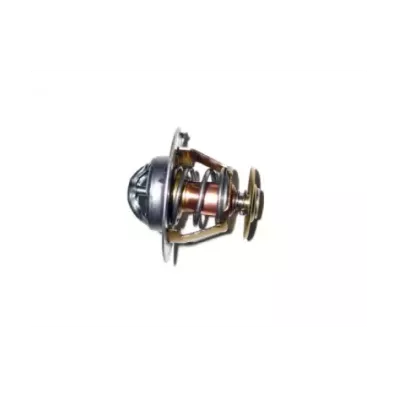 Termostat silnika NISSAN H15