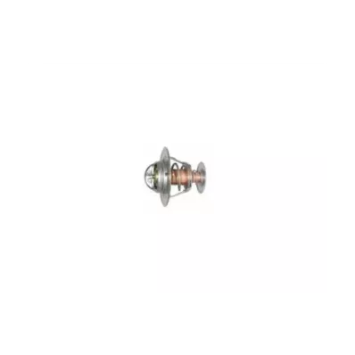 Termostat silnika NISSAN H30