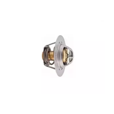 Termostat silnika VW BEF