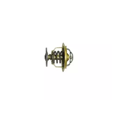 Termostat silnika VW BXT