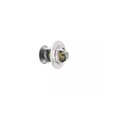 Termostat silnika VW CBHA