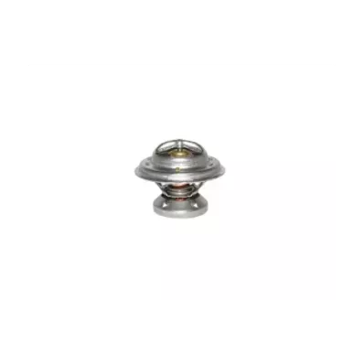 Termostat silnika MERCEDES OM601