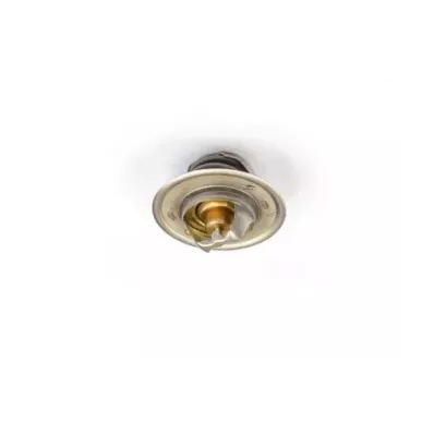 Termostat silnika PERKINS A6.354.2