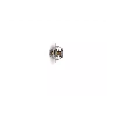 Termostat silnika PERKINS T6.354.1