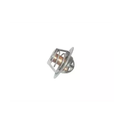 Termostat silnika PERKINS TF