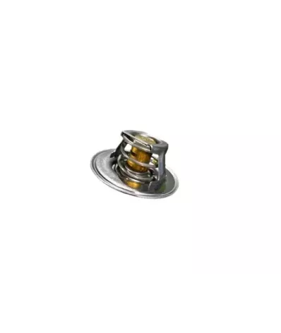 Termostat silnika PERKINS TH