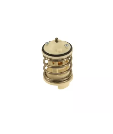 Termostat silnika VW CKPA