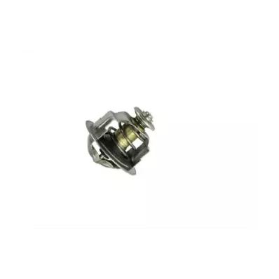 Termostat silnika GM 4.3L