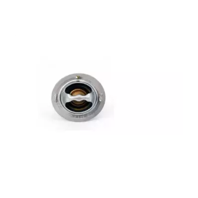 Termostat silnika CATERPILLAR 3044C