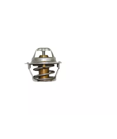 Termostat silnika CATERPILLAR 3003