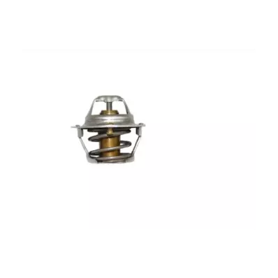 Termostat silnika CATERPILLAR 3003