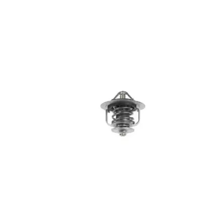 Termostat silnika NISSAN SD25