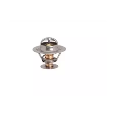 Termostat silnika NISSAN BD30