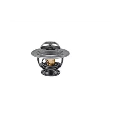 Termostat silnika PERKINS AK