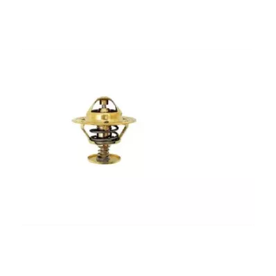 Termostat silnika PERKINS AQ